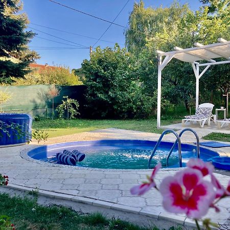 White House With Sauna And Jacuzzi Novi Sad Exterior foto
