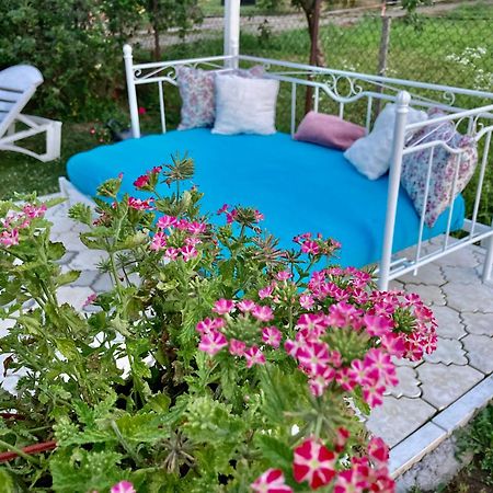 White House With Sauna And Jacuzzi Novi Sad Exterior foto