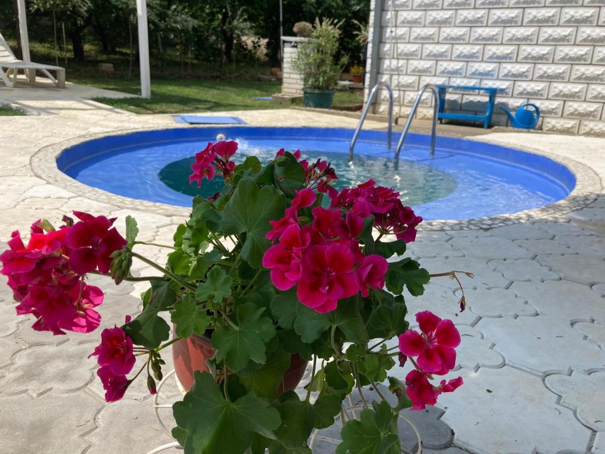 White House With Sauna And Jacuzzi Novi Sad Exterior foto