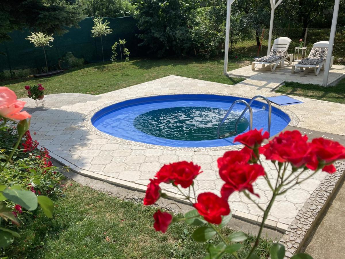 White House With Sauna And Jacuzzi Novi Sad Exterior foto