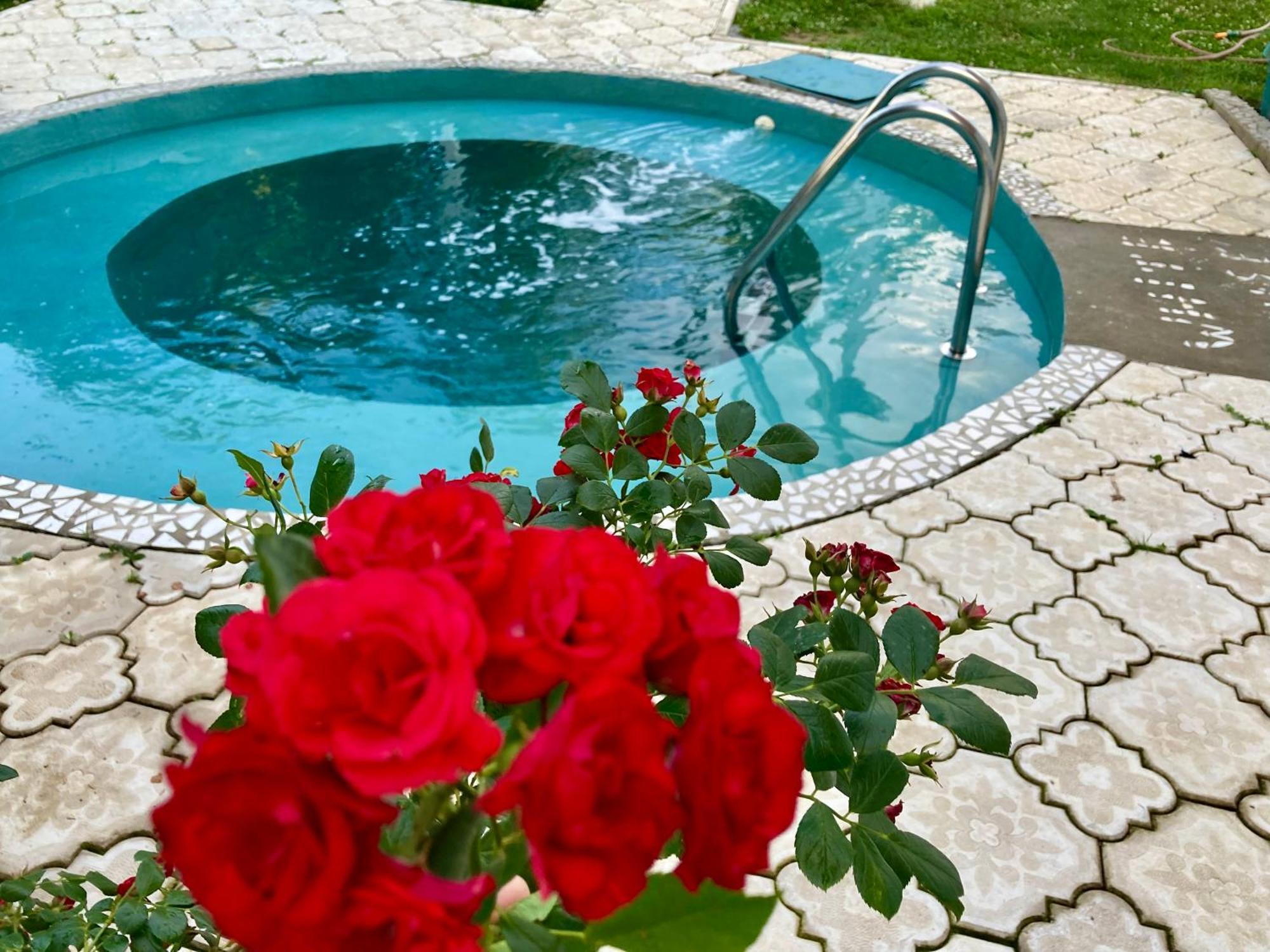 White House With Sauna And Jacuzzi Novi Sad Exterior foto