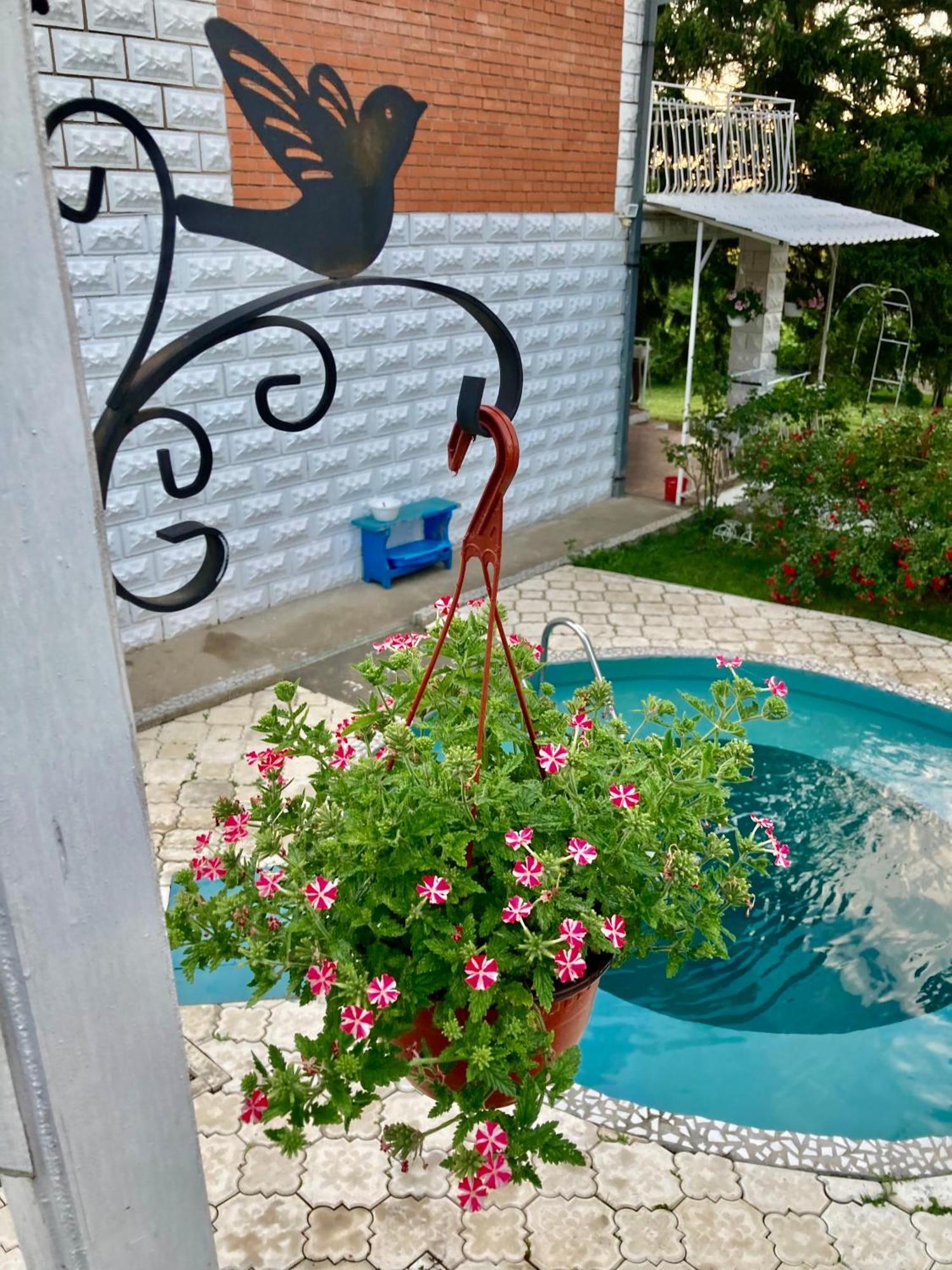 White House With Sauna And Jacuzzi Novi Sad Exterior foto