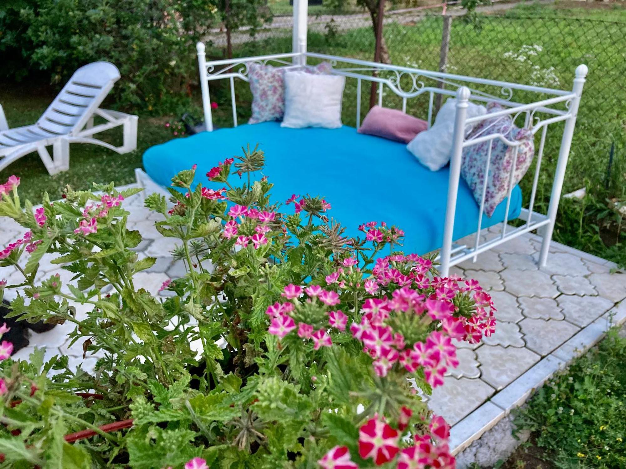White House With Sauna And Jacuzzi Novi Sad Exterior foto
