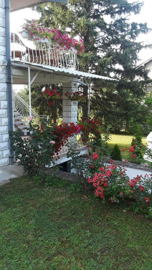 White House With Sauna And Jacuzzi Novi Sad Exterior foto