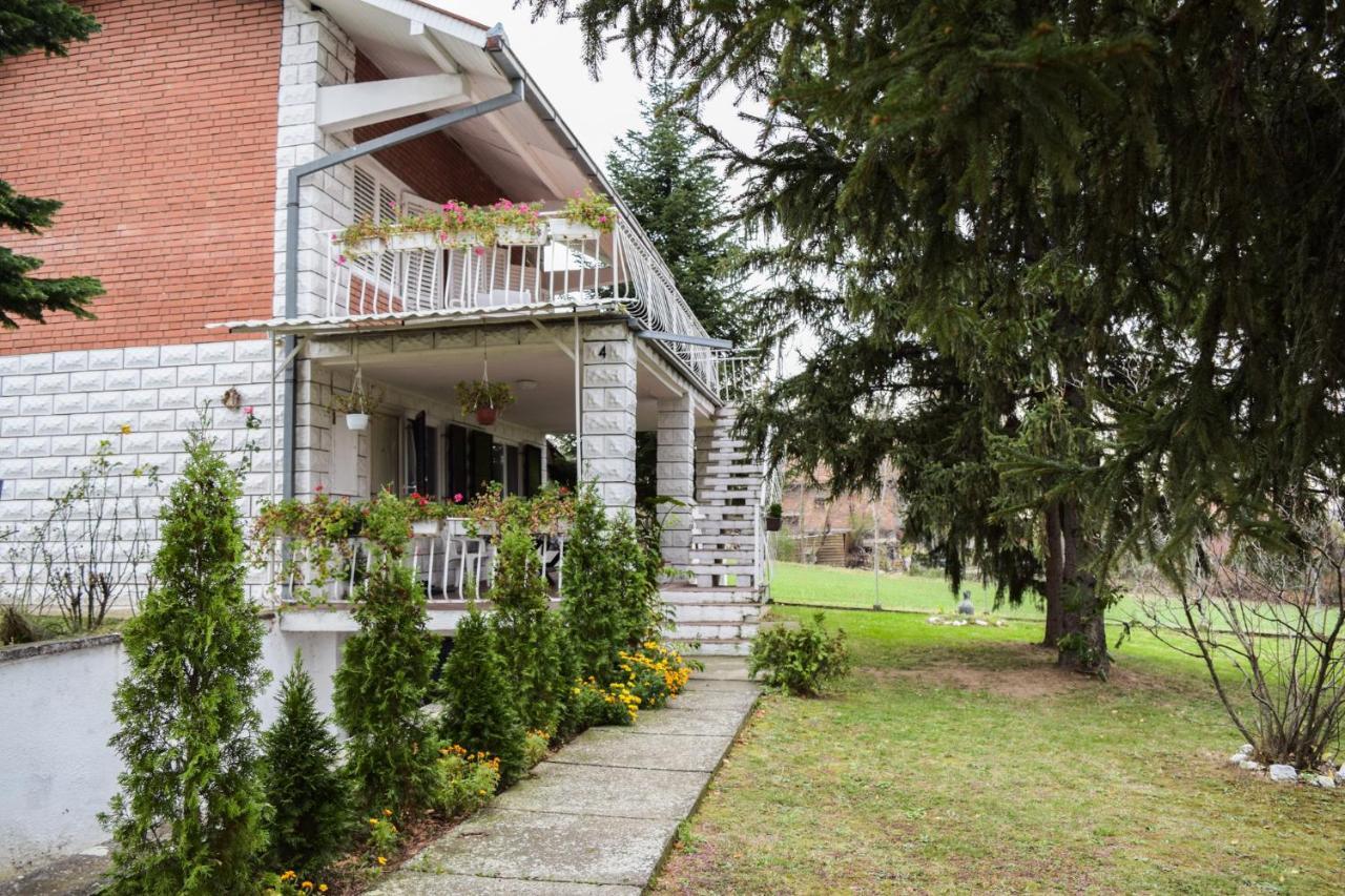 White House With Sauna And Jacuzzi Novi Sad Exterior foto